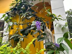 -火车头法国西餐厅