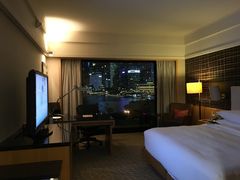 -新加坡文华东方酒店