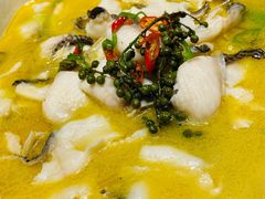 藤椒水煮鱼-天堂鸟水煮鱼·烟火川菜(凤凰路店)