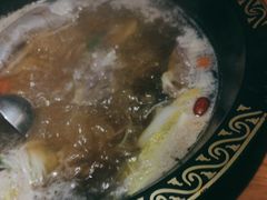 -肚社毛肚火锅