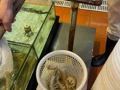 -越百海海鲜蒸锅(乐山店)
