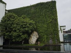 -八大山人梅湖景区