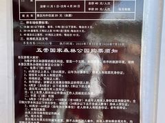 -五营红松林海景区