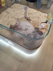 -小象动悟公园(龙湖亦庄天街店)