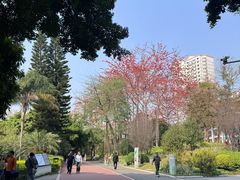 -南宁南湖公园