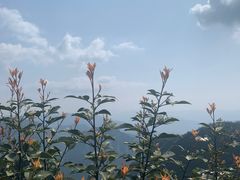 -重庆云阳龙缸景区