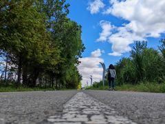 -盐城丹顶鹤湿地生态旅游区