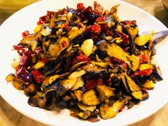 -易门野生菌府·菌海森林(月牙潭公园店)
