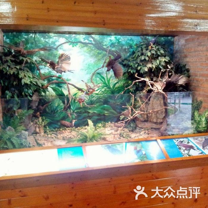 土地暨自然博物馆