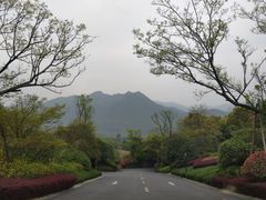 -浙江安吉JW万豪酒店·万豪中餐厅