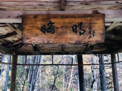 -五营红松林海景区