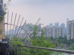 -小茶闲舍·观景商务茶馆(广州塔店)