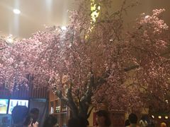 -大江户·温泉洗浴(浑南店)