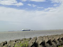 -上海滨江森林公园