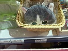 -世纪金源购物中心(远大路店)