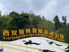 -西双版纳原始森林公园
