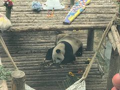 -大连森林动物园