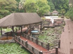 -明月山天沐温泉度假村