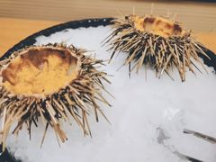 活海胆-万岛日本料理铁板烧(太古里店)
