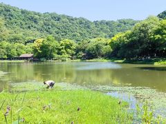 -八卦田遗址公园