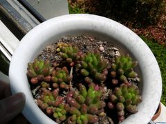 android_upload_pic-横店电影城(苏宁广场店)