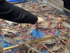 -半岛听涛蒸汽海鲜自助(K11店)