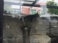 -泉州海丝野生动物世界