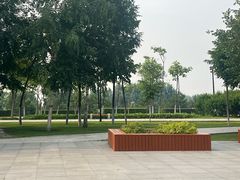 -哈尔滨音乐公园
