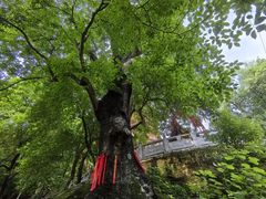 -宝通禅寺