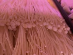 -郭记烤肉创始店(民丰大街店)