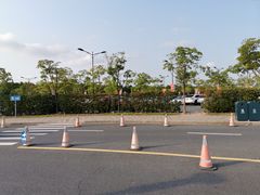 -迪士尼乐园停车场