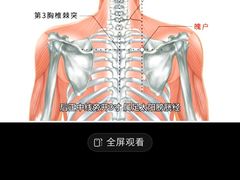 -裕和堂中医推拿艾灸(太古汇臻品店)