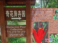 -中国科学院西双版纳热带植物园