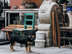 -玄武打边炉(开江西路店)