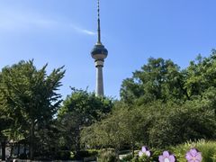 -中央广播电视塔