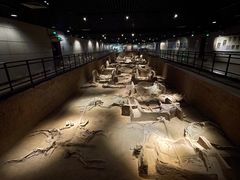 -洛阳周王城天子驾六博物馆