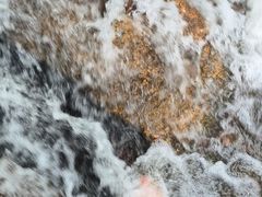 -呀诺达热带雨林