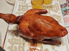 -大鸽饭(岗顶店)