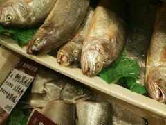 -吕氏疙瘩汤·私家菜馆(慈云寺店)