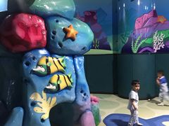 -青岛嘉年华主题乐园