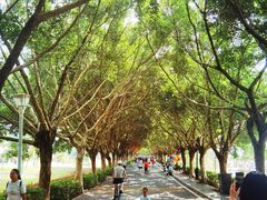 -风云岭森林公园