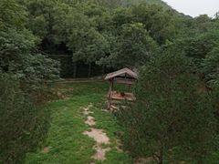 -石家庄市动物园