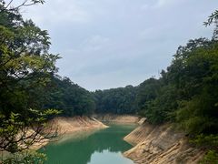 -广州市流溪河国家森林公园