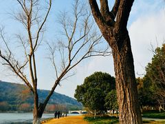 -长广溪湿地公园