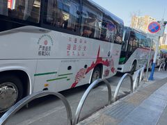 -金塔傣乡·云南德宏民族特色菜·傣味手抓饭(新亚洲店)