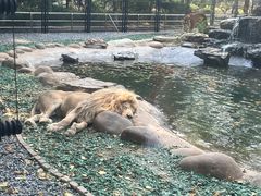 -北京野生动物园