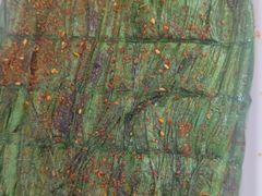 -西塔大冷面(市府大路店)