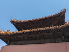 -北陵公园