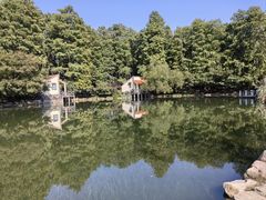 -上海共青森林公园