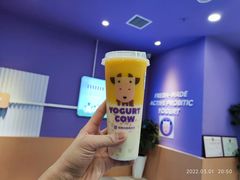 -一只酸奶牛(兰州中心店)